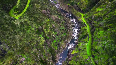 Green AMBIENCE DOLBY VISION 4K HDR - So Real You'll Forget You're Inside (60 FPS)