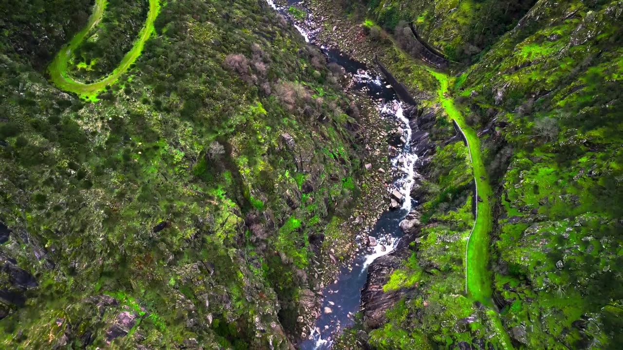 Green AMBIENCE DOLBY VISION 4K HDR - So Real You'll Forget You're Inside (60 FPS)