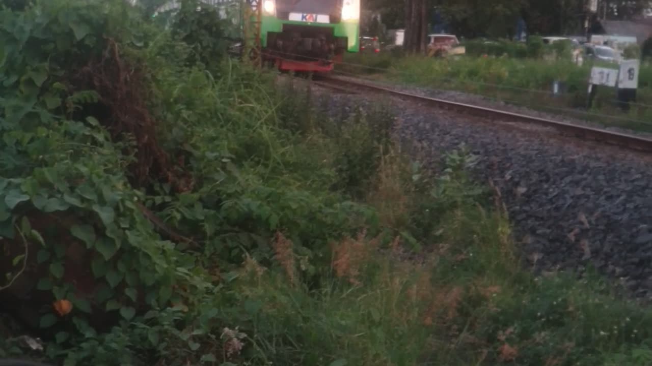 Slowly Green Commuter Line
