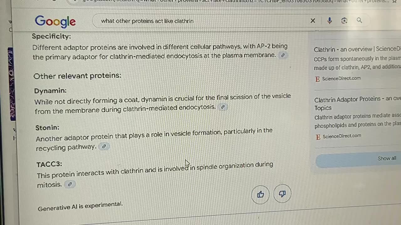 Clathrin, polymers, protein folding and QUANTUM DOTS