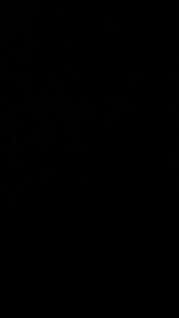 Hurricane forecasting