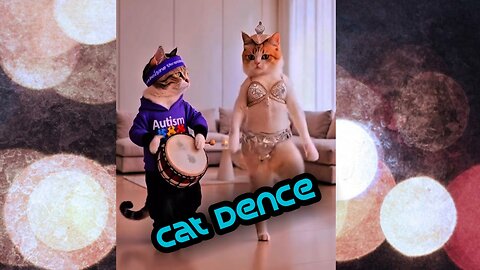 Cat dence funny video