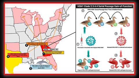 BREAKING EXCLUSIVE: Current Bird Flu Strain Is Product Of Gain-Of-Function Research In Georgia Biolab– Dr. Peter McCullough Raises The Alarm