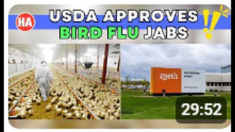 "USDA APPROVES BIRD FLU VACCINES"