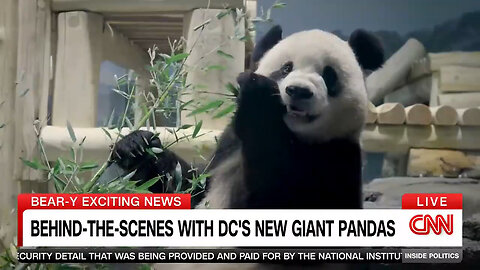 This Is What CNN's Dana Bash Was Running Instead Of Stories From NC Hurricane Victims… Giant Pandas