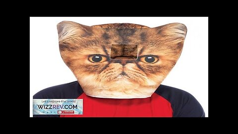 Grumpy Cat Foam Mask Review