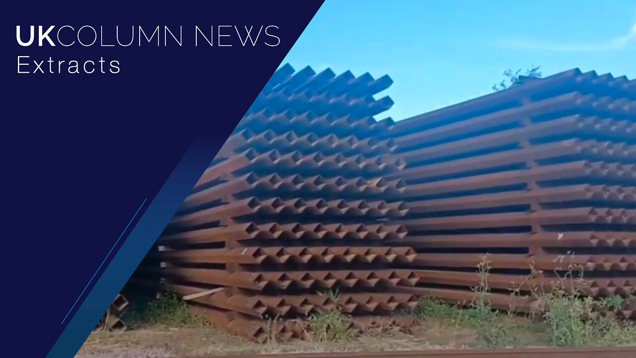 Mark Anderson's Latest Updates on the US-Mexico Border - UK Column News