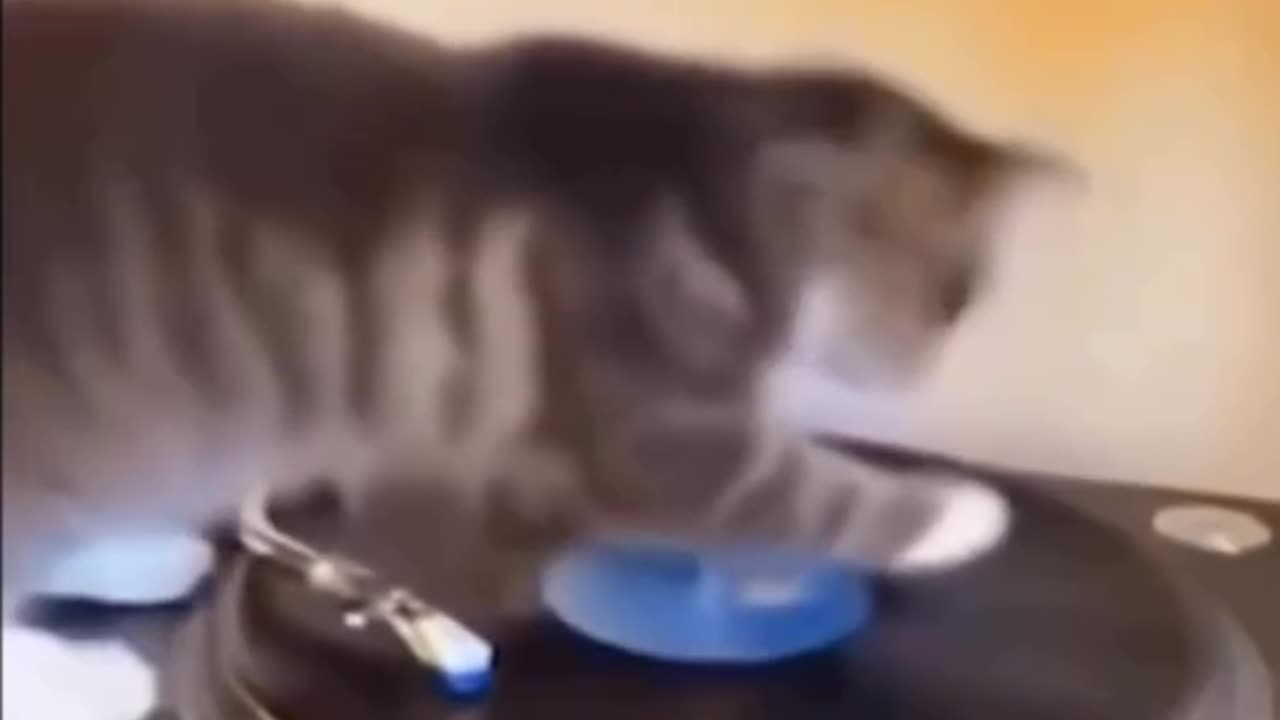 bon vedio