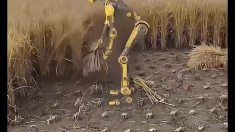 Robot harvesting