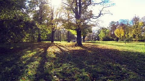 hört euch das an und kuckt euch das an Magix in Berlin