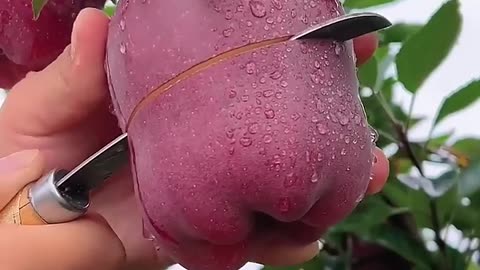 Delicious red apple cutting