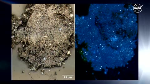 Building blocks of life found in samples from asteroid Bennu