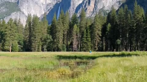 🏞️ Explore the Majestic Beauty of Yosemite National Park 🌲