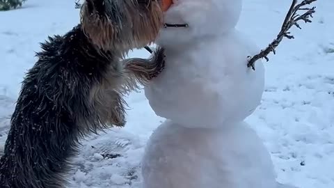 🎶 There goes frosty's nose 🎶