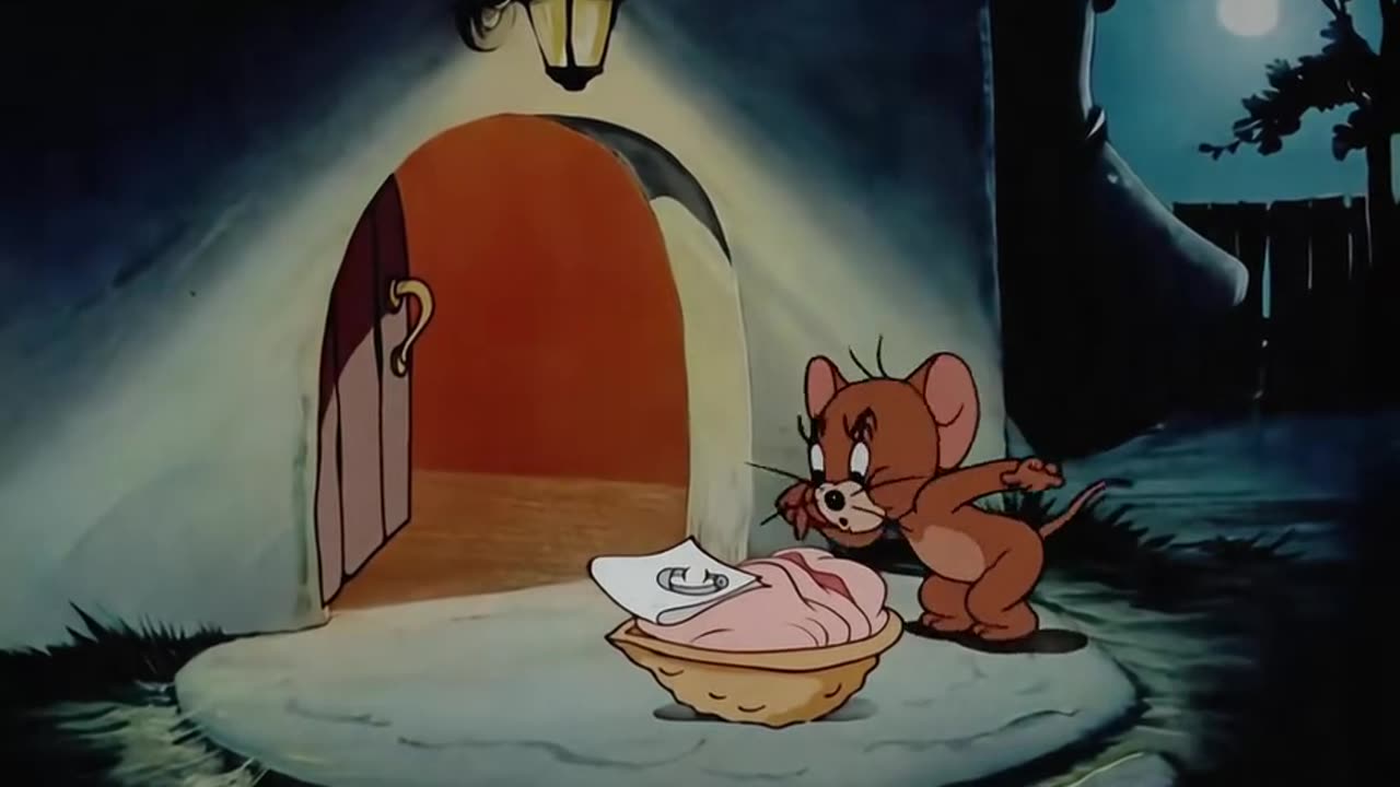 Tom and jerry comedy video