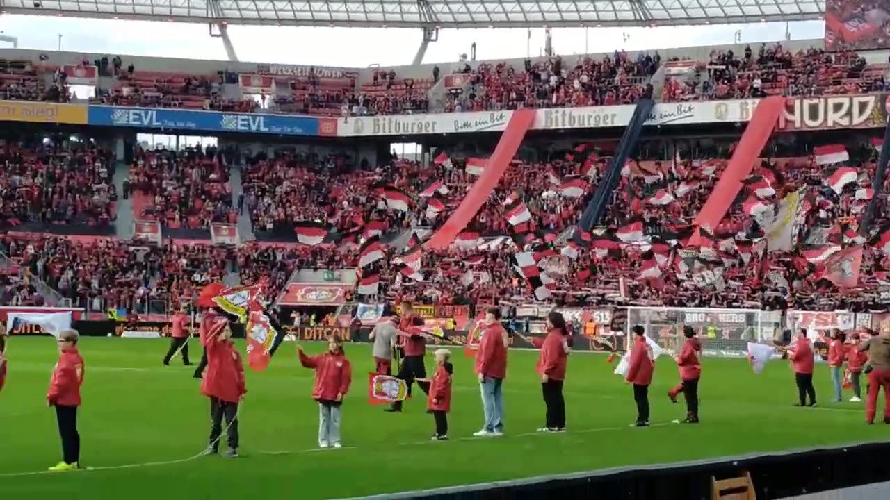 Bayer Leverkusen vs VfL Wolfsburg (superb atmosphere)