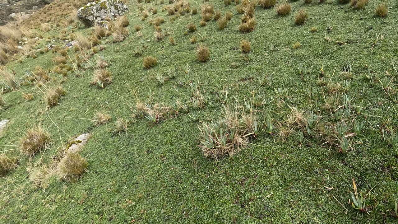 Going up to Churup Lagoon (Huaraz, Peru)