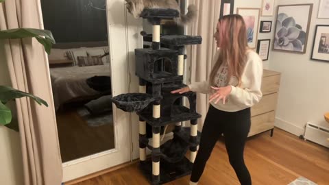 Give Your Cat the Ultimate Play Kingdom: Taoqimiao 76-Inch Cat Tree for Indoor Cats!