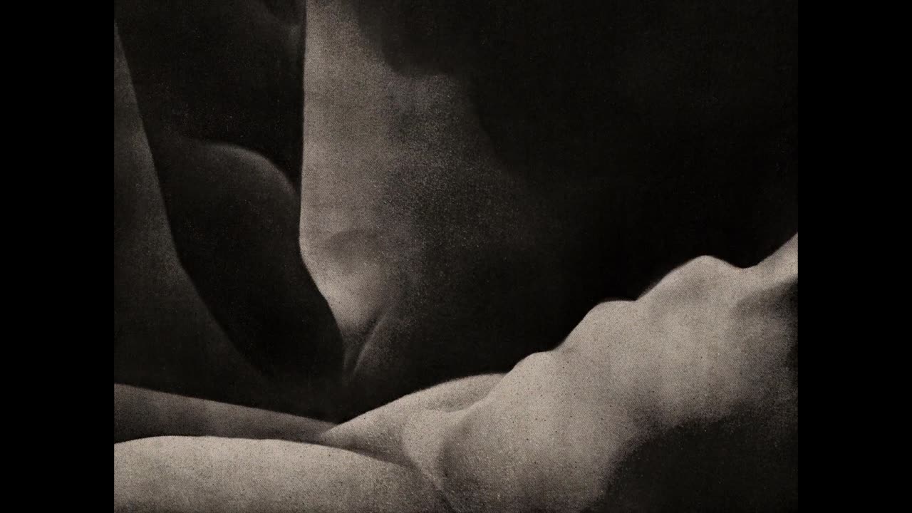 EMBRACED | animated short films