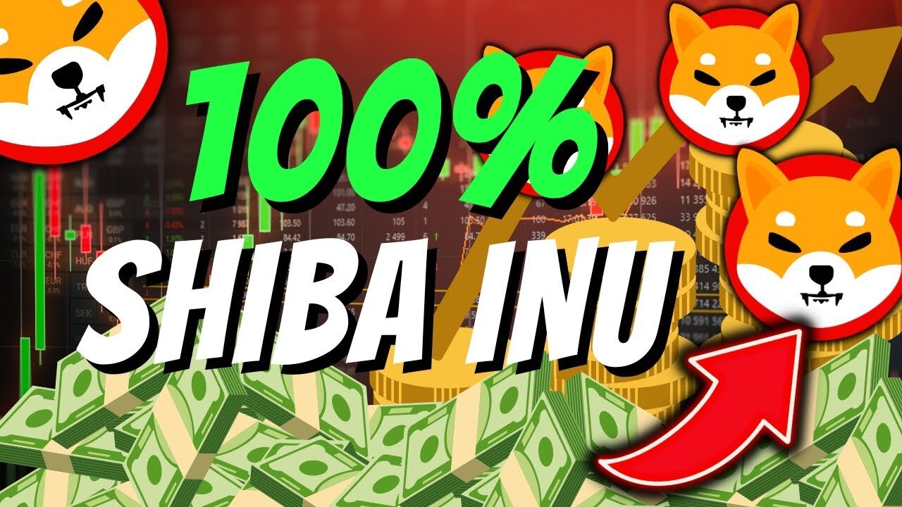 SHIBAINU BURN RATE JUST WENT CRAZY. INVEST IN SHIB