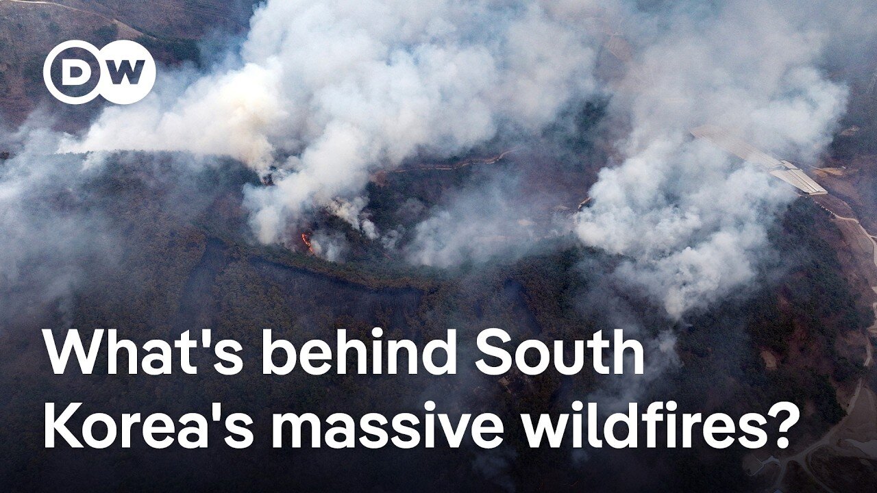 Largest ever South Korea wildfires threaten regional population centres and UNESCO heritage sites