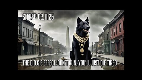 Monkey Werx -The D.O.G.E Effect - Don t Run, You ll Just Die Tired - SITREP - 2-11-25