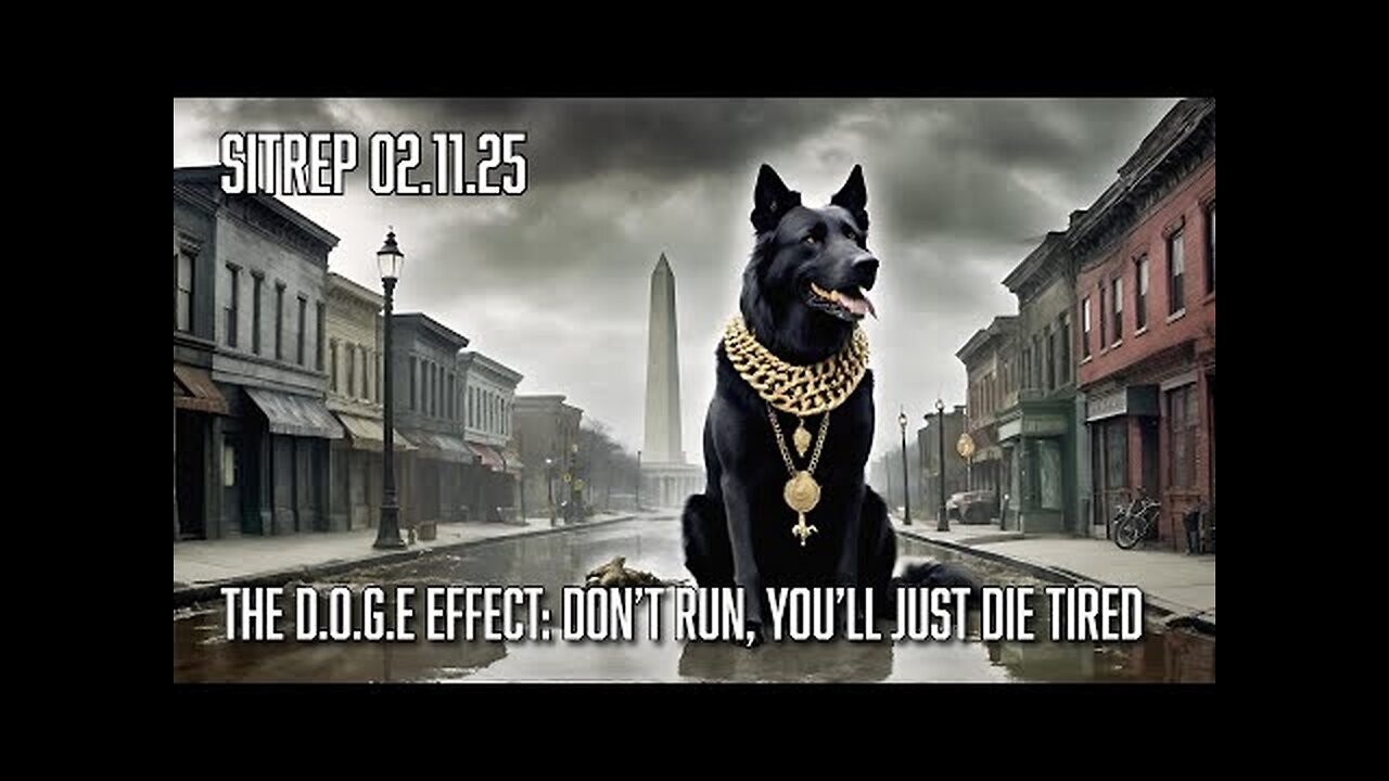 Monkey Werx -The D.O.G.E Effect - Don t Run, You ll Just Die Tired - SITREP - 2-11-25