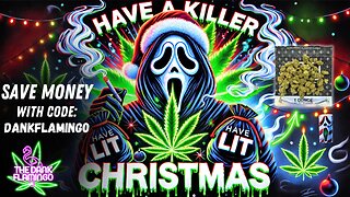 Have a Killer Christmas! The Dank Flamingo Budget Cannabis Review!