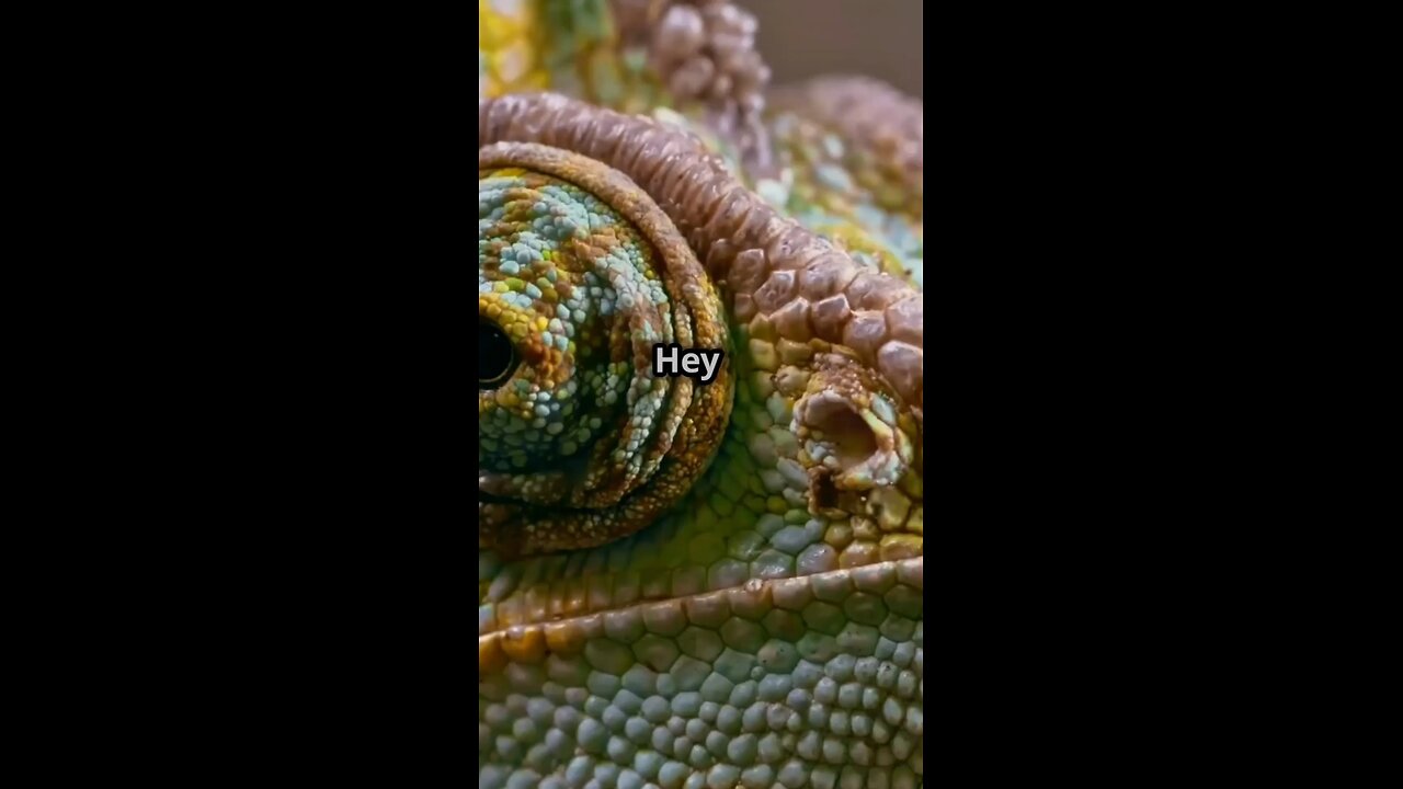 Chameleons' Eye Secrets Revealed!