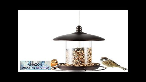 Metal Bird Feeder for Outside HangingWild Bird Feeders for Cardinal Large Roof Review