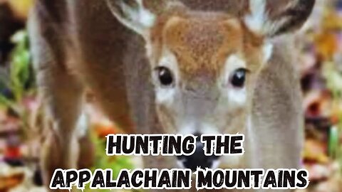 Hunting the Appalachain Mountains