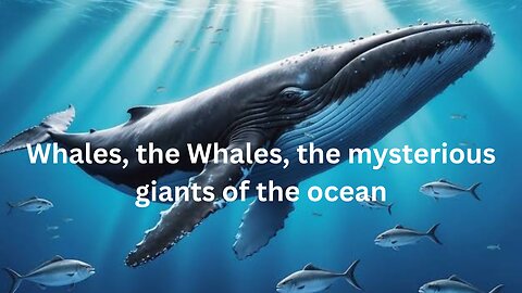Whales, the mysterious giants of the ocean | @RV_Critter #wildlife #wildanimals #whale #trending