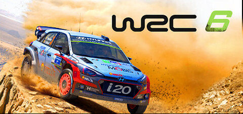 WRC 6 #16