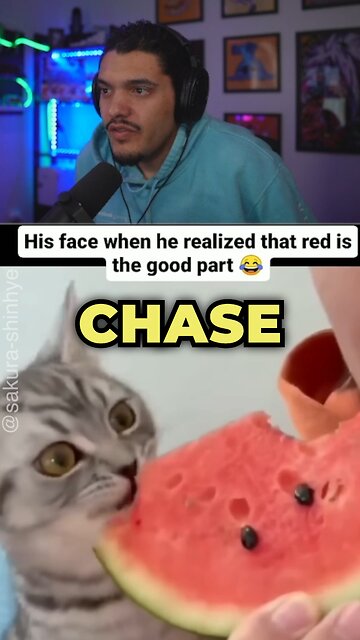 Taste Testing Cat #Funny #cat #reaction