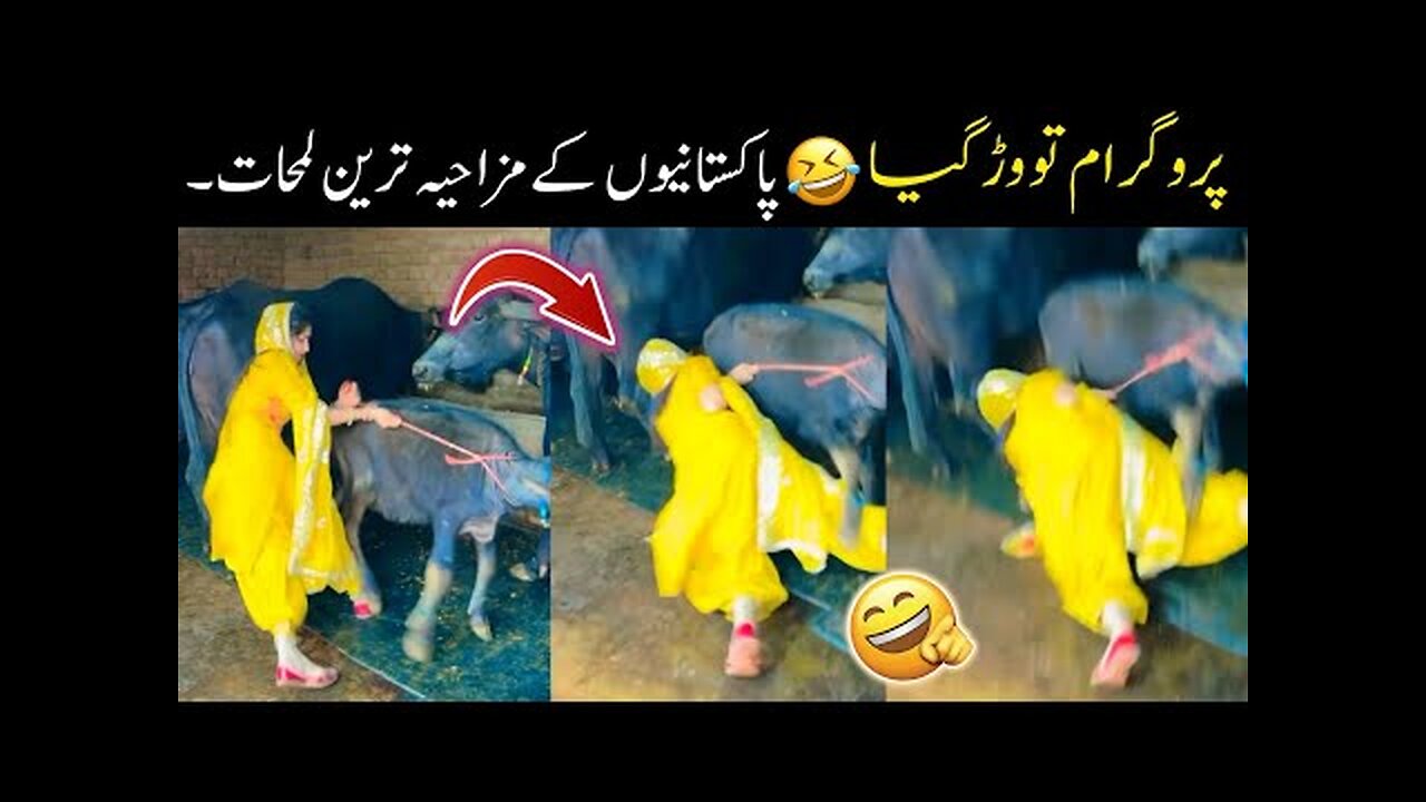 Most Funny Moments Of Pakistani People 😅-part:-102 | funny pakistani moments 😜