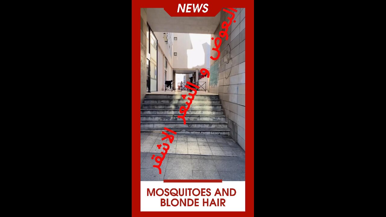 #البعوض_و_الشعر_الاشقر