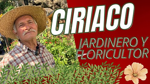 Ciriaco: 45 años de jardinero, floricultor y cultivador