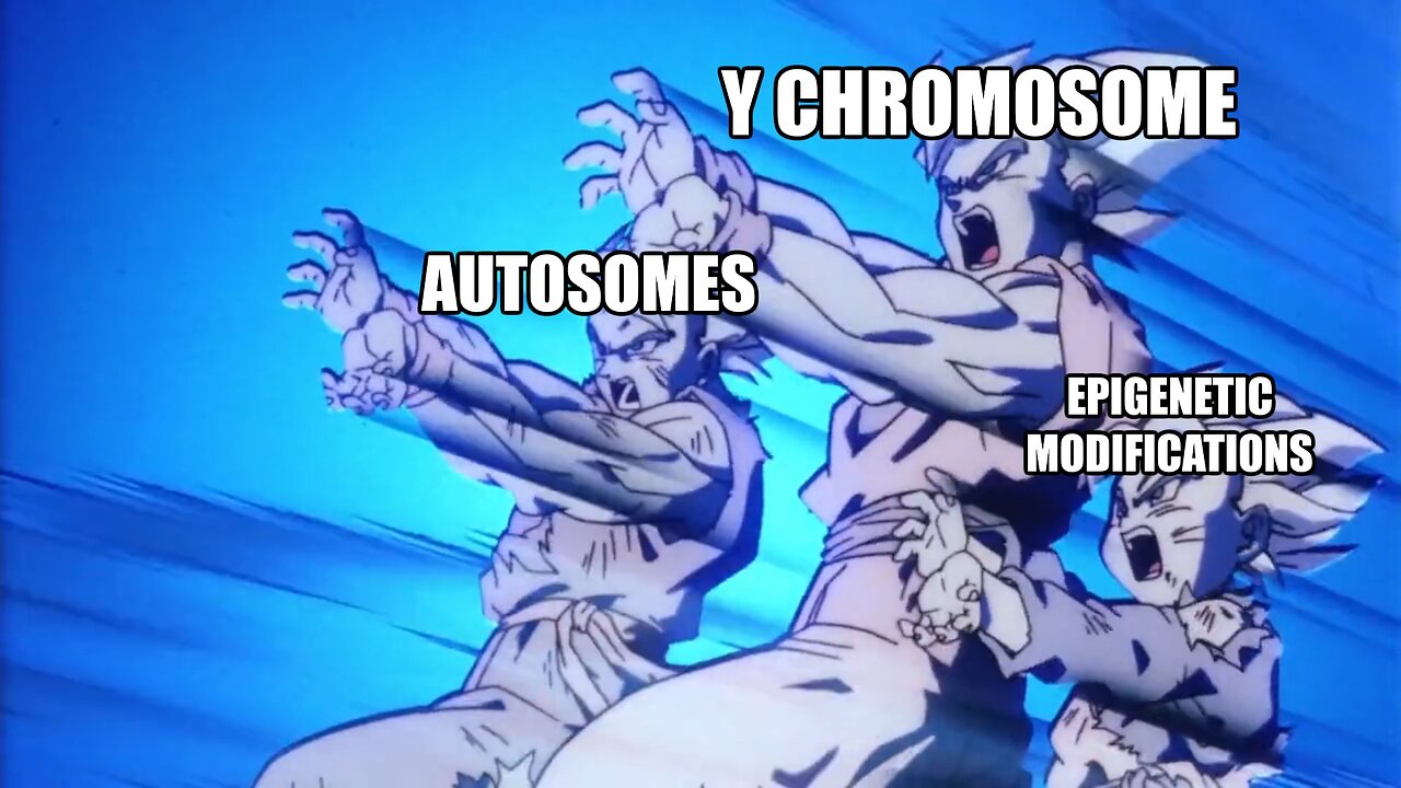 pov: The Y-CHROMOSOME "disappeared", males are doomed (INCORRECT)