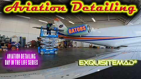 Aviation Detailing | Gators Jet in Florida