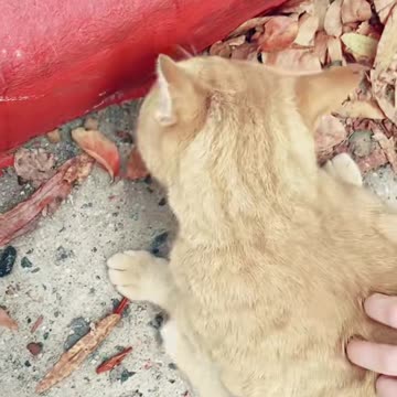 Quilville by Patrick Henry The Batman