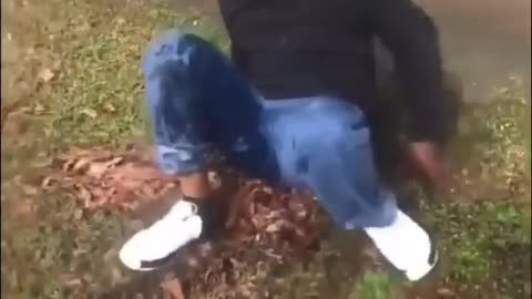 😂🤣