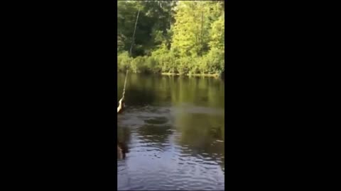 The best selection of fails and funny situations - watch until the end!