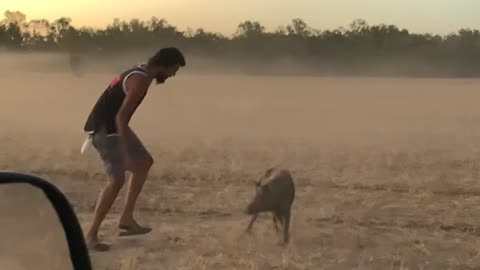 Pig Runs Between Man's Legs