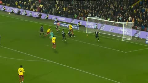 roko vata gol ne fund