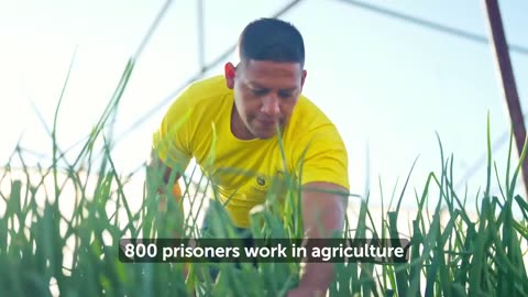 El Salvador's Productive Prison