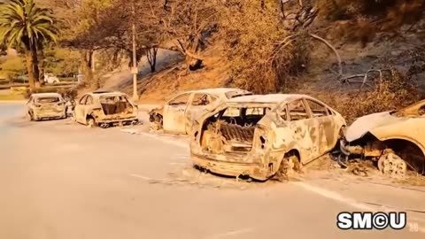 Los Angeles "Wildfire" Anomalies