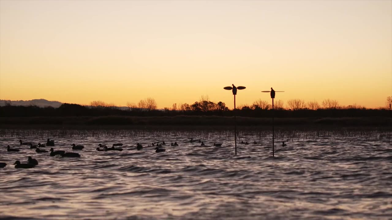 How to Set Up Decoys - Inside the Blind