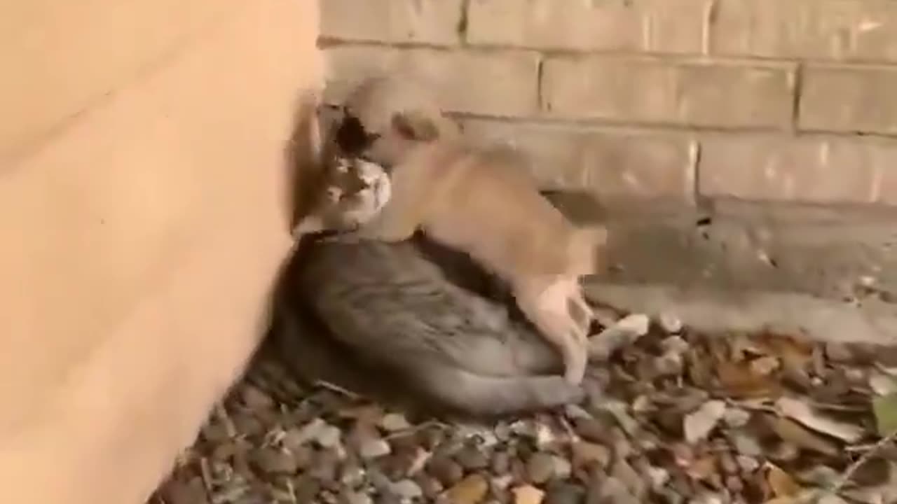 Meeting your best friend.. 😊