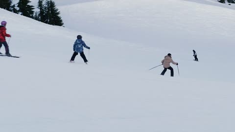 Human in snow