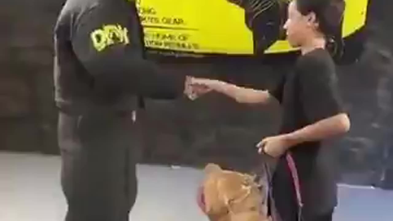 Dog Recognizes Danger Fast